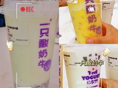-一只酸奶牛(兰州中心店)