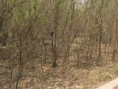 -淇河国家湿地公园