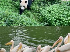 -云南野生动物园