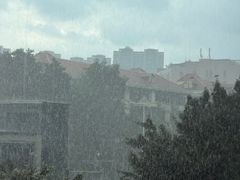 -荔湾区儿童公园