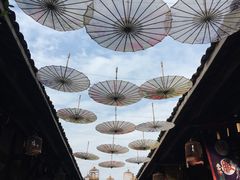 -苏板鸭