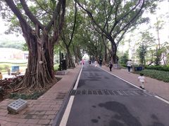 -广州雕塑公园