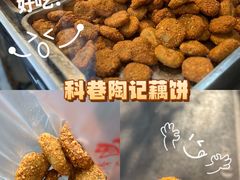 -陶记正宗德州扒鸡(科巷店)