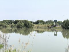 -海鸥岛河景湖大排档