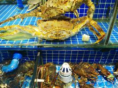 -大东海海鲜酒楼(渔人码头总店)