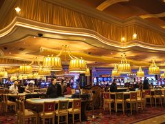 -拉斯维加斯永利酒店