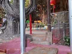 -长鹿旅游休博园