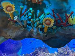 -横店影视城梦幻谷园区