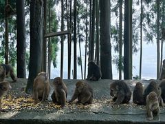 -太阳湾风景区