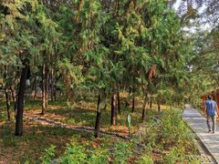 -长辛店二七公园