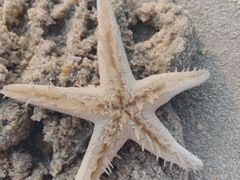 -惠州金海湾嘉华度假酒店