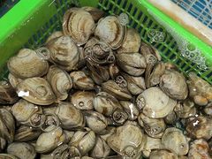 -和源祥·日照菜扛把子(万平口一店)