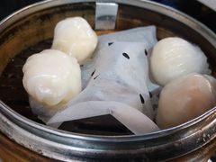-点点心点心专门店(湾仔店)