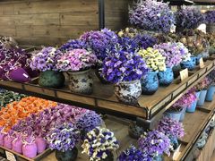 -L.C FLORA花予你(城西银泰城店)