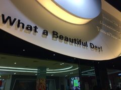 -大家乐(深圳中信店)