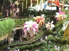 -正佳雨林生态植物园
