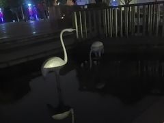-七宝老街-闵行市民文化广场