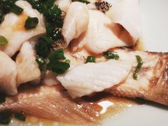 -大榕树下顺德菜(融创茂店)