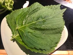 -鼎盛江山美食自助(欢乐城店)