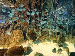 -福州罗源湾海洋世界旅游区