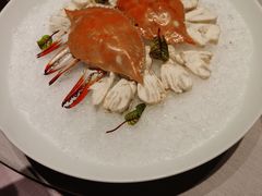 -子福慧(虹桥店)