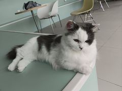 -怪兽屋·羊驼·猫咖·狗咖(俊华广场店)