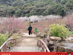 -广州市石门国家森林公园