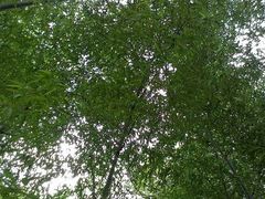 android_upload_pic-宁波浙东大竹海景区