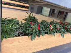 -中国天府农业博览园