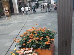 -星巴克臻选(成都太古里店)