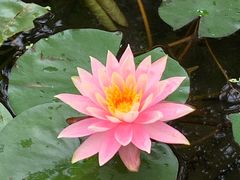 -晓港公园