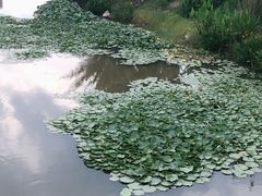 -枫香湖儿童公园