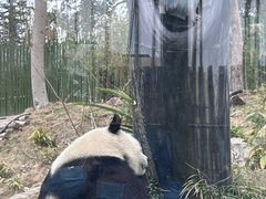 -武汉动物园
