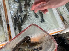 大头虾-霞涌市场海鲜摆卖区