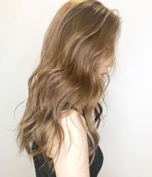 -SALON V