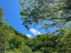 -九龙潭景区
