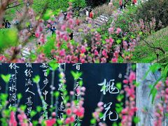 -桃花涧