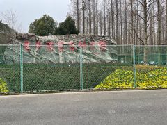 -东平国家森林公园
