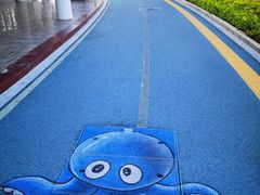 景点-白鹭洲公园