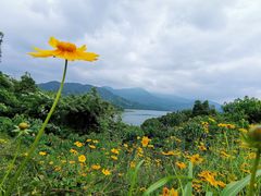 -酒仙湖景区