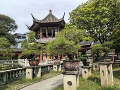 -碧江金楼