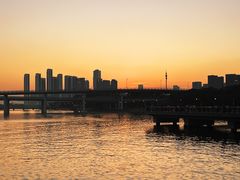-深圳湾公园(南山区)