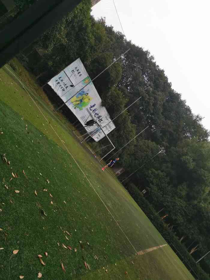 王陵公园足球场-"以前听一个喜好踢球的同事说过在王陵公园有.