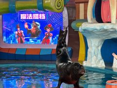 -海合安武汉极地海洋公园