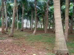 -白沙门生态公园