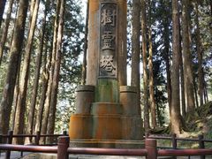 -阿里山神木遗迹