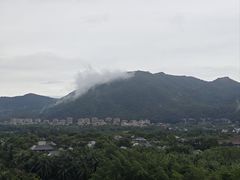 -三亚亚龙湾红树林度假酒店