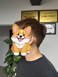 -HD HAIR STYLE