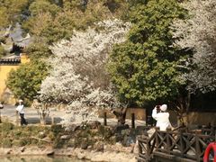 -虞山风景区