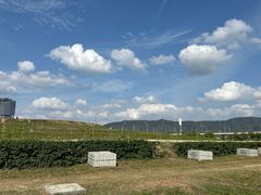 -光明小镇欢乐田园